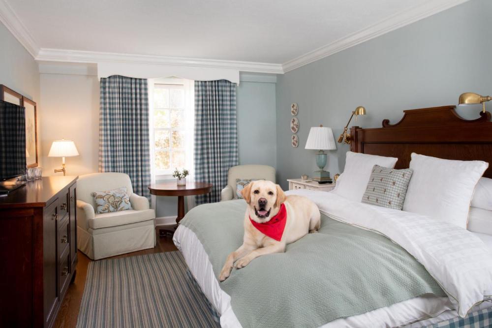 King Room with Garden View interior